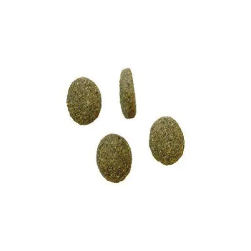 BOZITA Robur Sensitive Single Protein Lamb and Rice - dry dog food - 3kg - Dry foodDLP-KAS<<<For