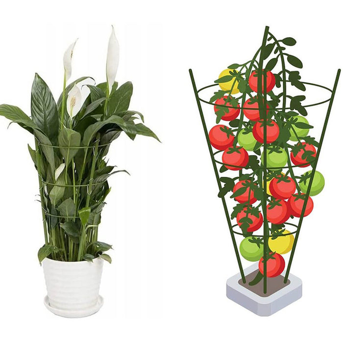 PLANT SUPPORT 75CM BRADAS TYRP75