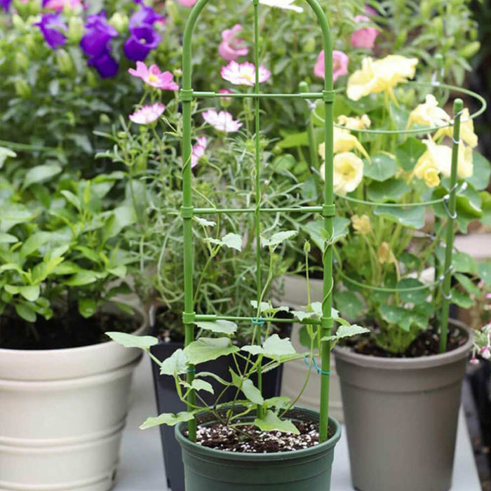 PLANT SUPPORT 60 CM BRADAS TYRD60