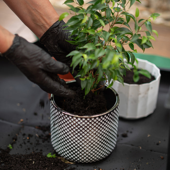 TRANSPLANTING MAT 66X66CM BRADAS TQ-P2/070