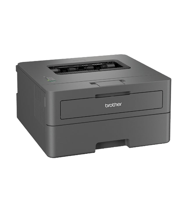 Brother HL-L2402D Laser Printer