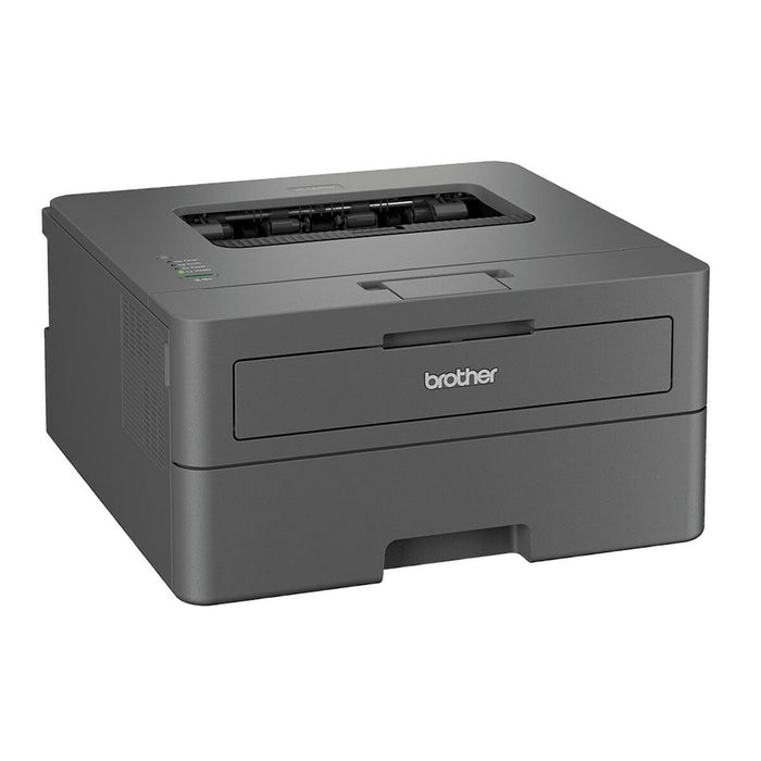 Brother HL-L2402D Laser Printer