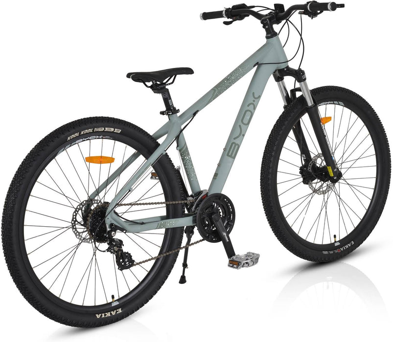 BYOX 29 24SK ALUMINUM GRAY BICYCLE