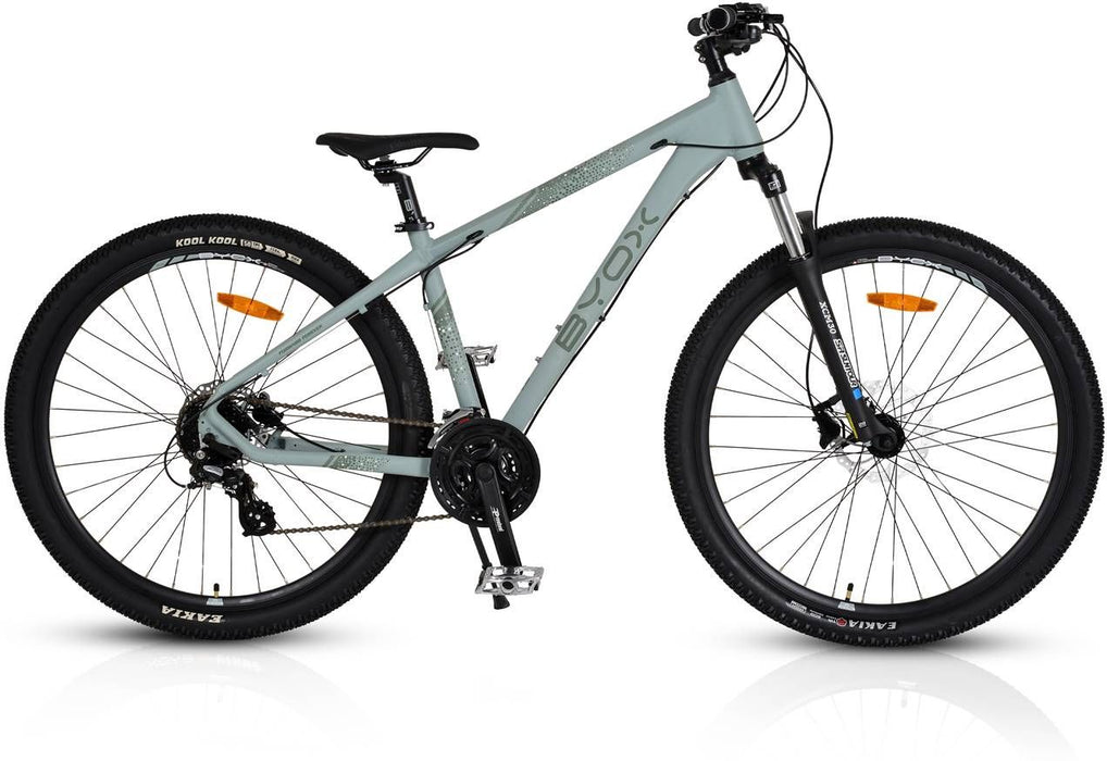 BYOX 29 24SK ALUMINUM GRAY BICYCLE