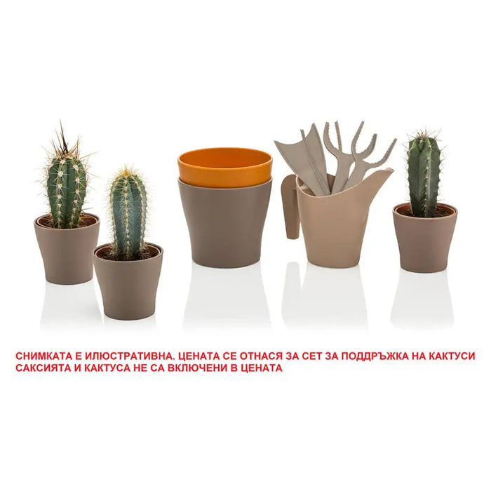 CACTUS HD MAINTENANCE SET - Кактуси<<<Стайни растения<<<Градина<<<Praktiker