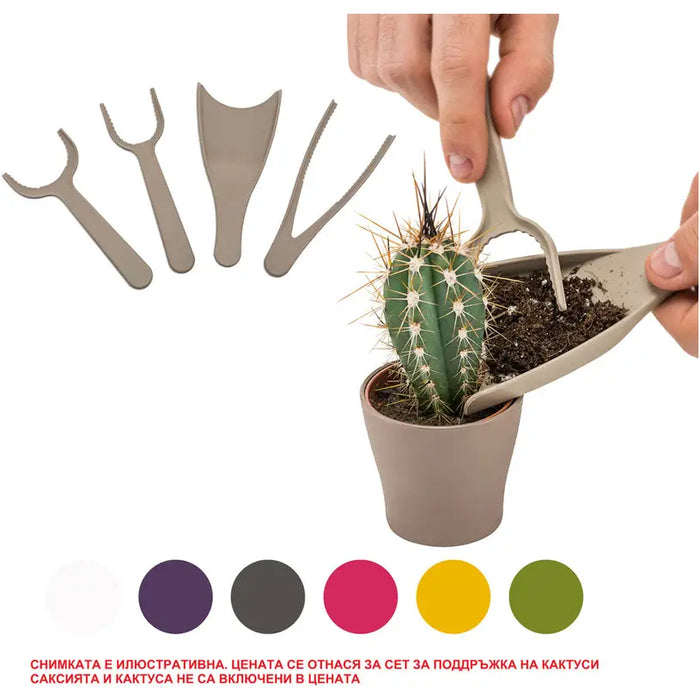 CACTUS HD MAINTENANCE SET - Кактуси<<<Стайни растения<<<Градина<<<Praktiker