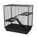 Cage INTER-ZOO G306ACTB Metal Plastic 80 x 80 x 48 cm - Пътуване и разходки<<<Домашни Животни<<<Дом