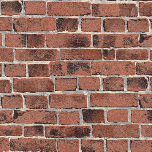 CALLA VINYL WALLPAPER 5072-42 - Тапети<<<Тапети и фототапети<<<Подови и стенни покрития<<<Praktiker