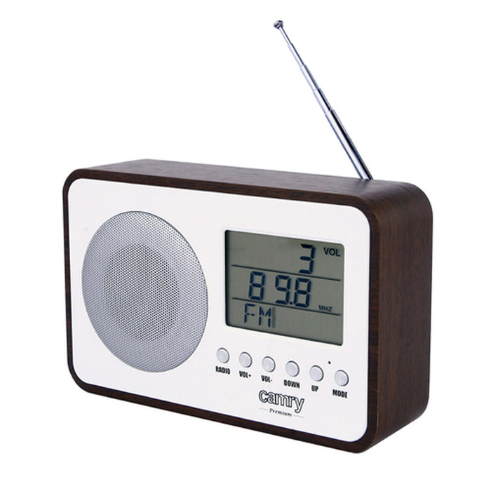 Radio Camry Multicolour
