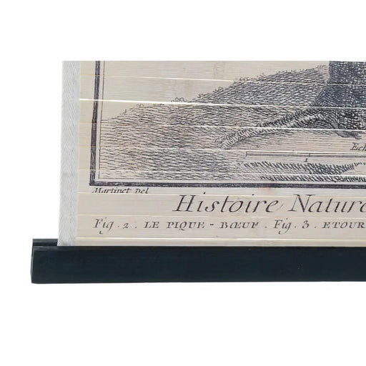 Canvas DKD Home Decor Birds 60 x 2 x 90 cm Cottage (4 Pieces) - Декорация и Осветление<<<Дом Градина<<<BigBuy&&&Картини