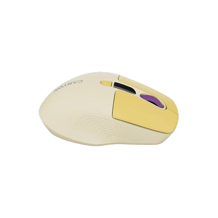 Mouse CANYON CNS-CMSW26Y Silent Click