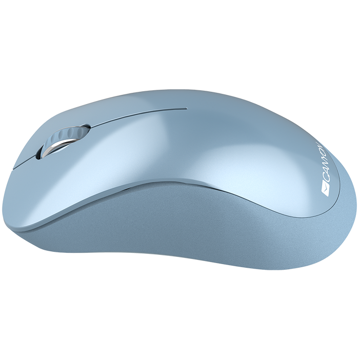 Canyon CNE-CMSW11BL mouse