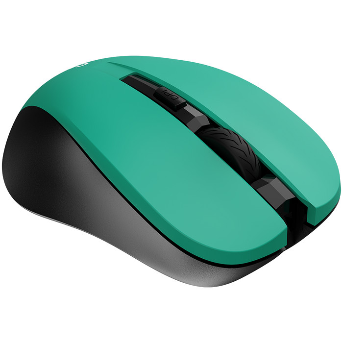 Canyon CNE-CMSW1GR mouse