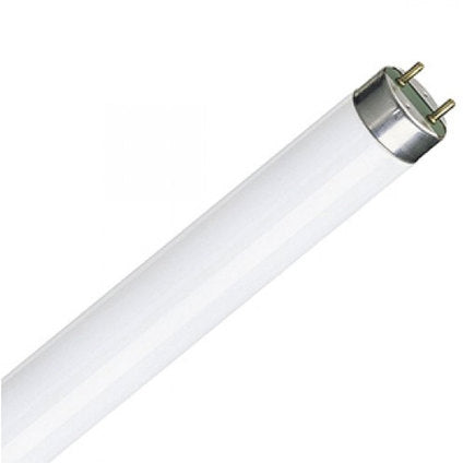 LAMP 10W CARE