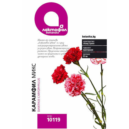 CARNATION SEEDS MIX LACTOFOL BOTANICAL - Семена<<<Семена луковици и разсад<<<Градина<<<Praktiker