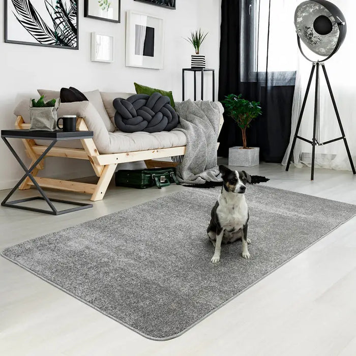 CARPET HAMILTON SILVER 120X160 CM. - Килими<<<Килими<<<Мебели и интериор<<<Praktiker&&&Килими<<<Килими<<<Подови и