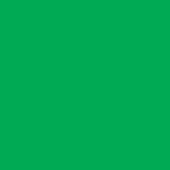 WHITE PAINT COLORANT 200 ML CASA BELLA