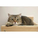 Cat Bed Kerbl TIMBER Beige - Домашни Животни<<<Дом Градина<<<BigBuy&&&Къщички и легълца<<<Домашни Животни<<<Дом