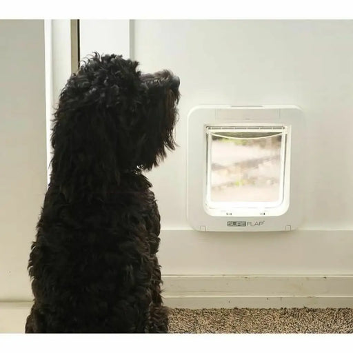 Cat Flap SureFlap SUR101 17,8 x 17 cm - Домашни Животни<<<Дом Градина<<<BigBuy&&&Къщички и легълца<<<Домашни
