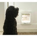 Cat Flap SureFlap SUR101 17,8 x 17 cm - Домашни Животни<<<Дом Градина<<<BigBuy&&&Къщички и легълца<<<Домашни