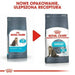 Cat food Royal Canin Urinary Care Adult Rice Birds 400 g - Хранене на домашни любимци<<<Домашни Животни<<<Дом