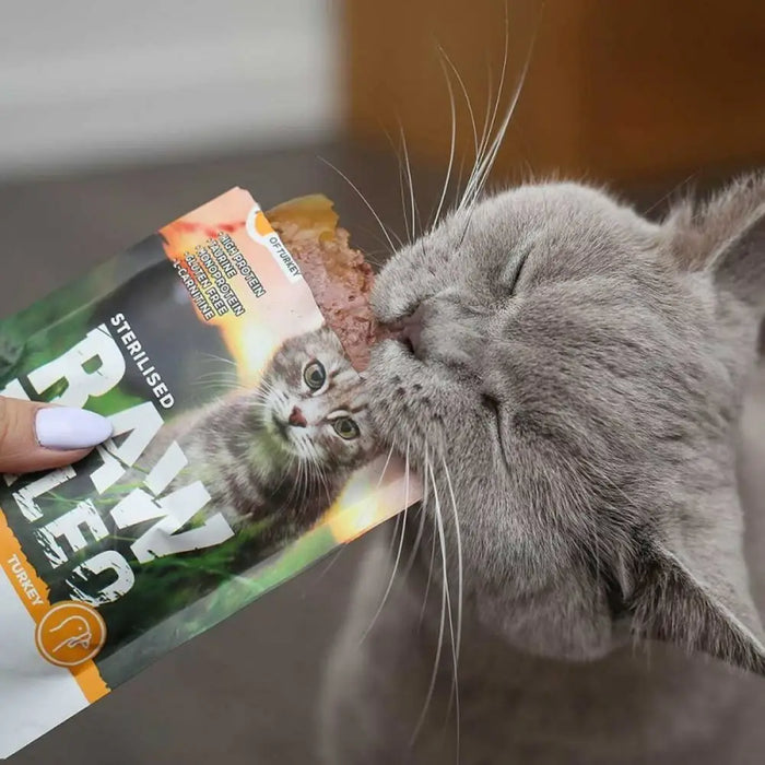 Cat food VETEXPERT Adult Cat 100 g - Хранене на домашни любимци<<<Домашни Животни<<<Дом Градина<<<BigBuy&&&Wet