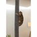 Cat scratching post Kerbl Grey - Домашни Животни<<<Дом Градина<<<BigBuy&&&Здраве и хигиена<<<Домашни Животни<<<Дом
