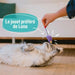 Cat toy Aimé Multicolour 7 Pieces - Домашни Животни<<<Дом Градина<<<BigBuy&&&Играчки<<<Домашни Животни<<<Дом