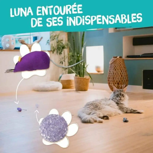 Cat toy Aimé Multicolour 7 Pieces - Домашни Животни<<<Дом Градина<<<BigBuy&&&Играчки<<<Домашни Животни<<<Дом