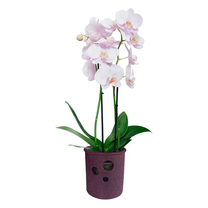 CERAMIC POT 13.5X14CM CYLINDER ORCHID - Кашпи<<<Саксии кашпи и цветарници<<<Градина<<<Praktiker&&&Кашпи<<<Саксии кашпи