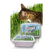 Certech 10319 pet grass seed Cat - Dry foodDLK-KAS<<<For the catDLK<<<ActionPL