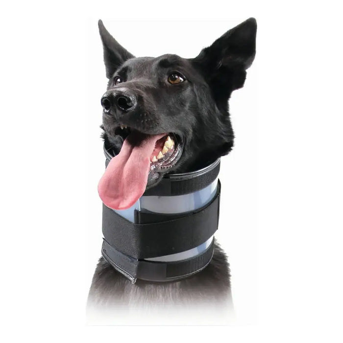 Cervical Collar for Dogs KVP Black (10-41 cm) - Домашни Животни<<<Дом Градина<<<BigBuy&&&Здраве и хигиена<<<Домашни