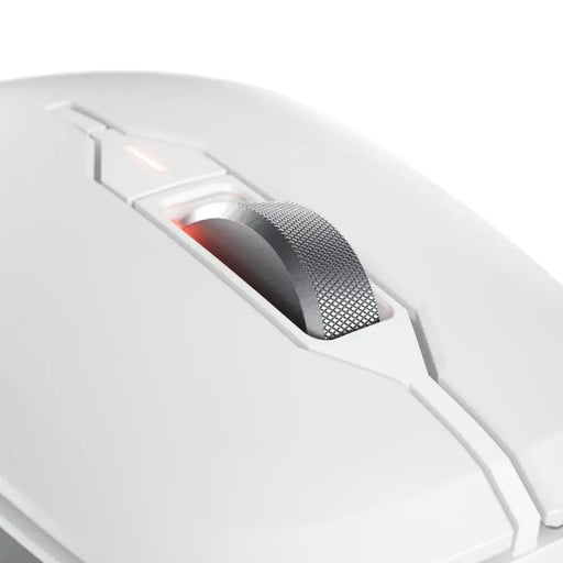 CHERRY Stream ergonomic silent mouse Comfort 6 leg 4000dpi white - Мишки<<<Компютърна