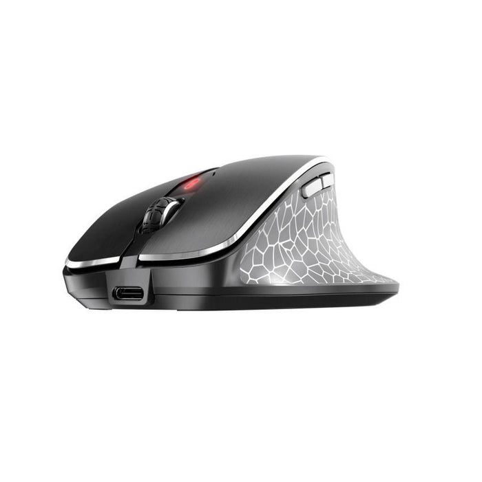 Wireless mouse CHERRY MW 8C ERGO