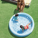 CHILDREN’S POOL F147X33CM INTEX 58467NP - Надуваеми басейни<<<Басейни плажни артикули и оборудване<<<Градина<<<Praktiker