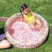 CHILDREN’S POOL F86X25CM SWEET BLOSSOM INTEX 58427NP - Надуваеми басейни<<<Басейни плажни артикули и