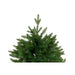 Christmas Tree DKD Home Decor Green Polyethylene 120 x 120 x 180 cm - Декорация и Осветление<<<Дом