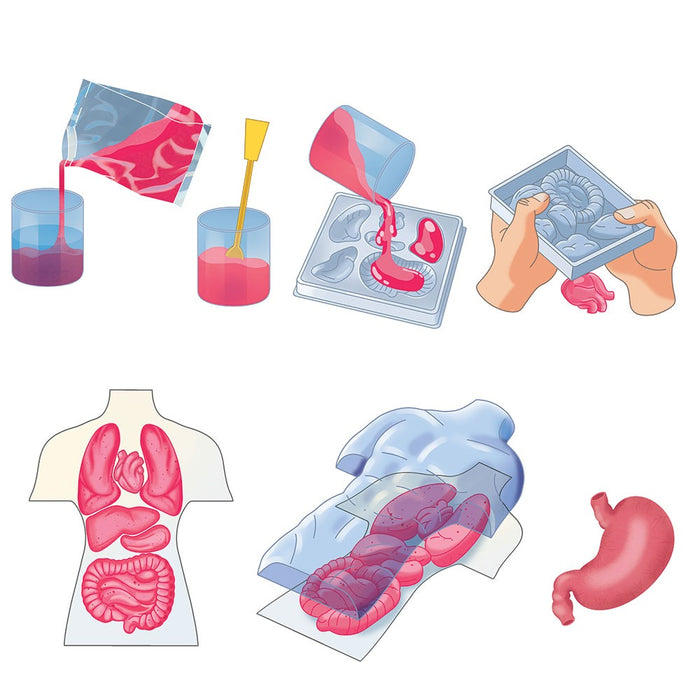 Образователен комплект Clementoni Science & Play - Squishy Anatomy