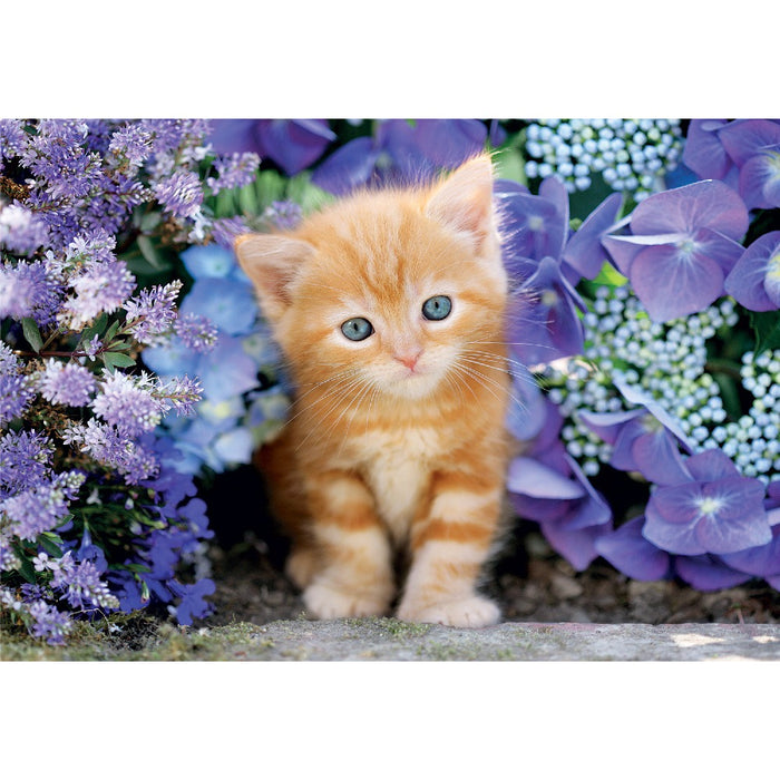 CLEMENTONI 500 pieces Puzzle Kitten