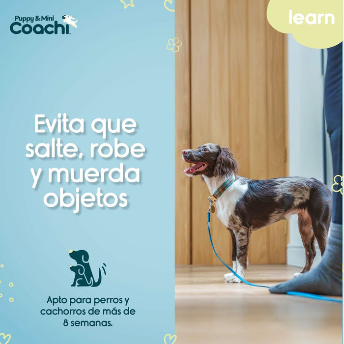 Dog Harness Coachi