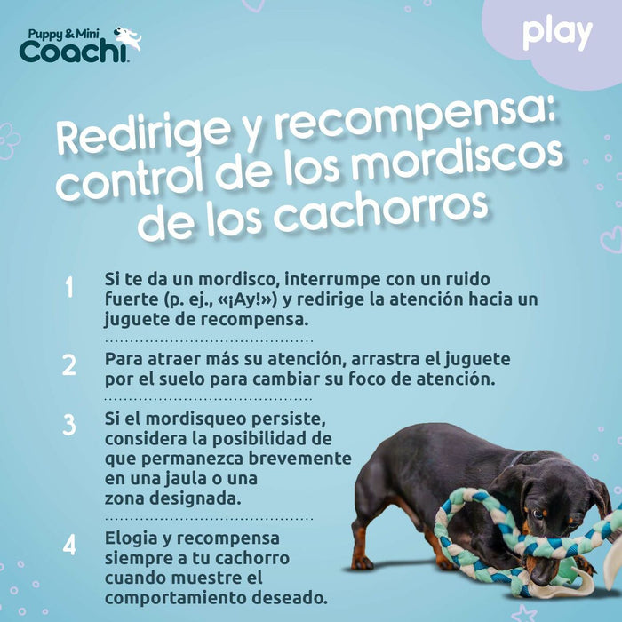 Dog Harness Coachi