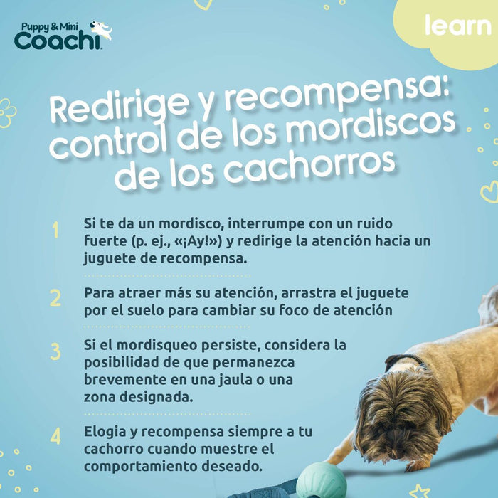 Dog Harness Coachi