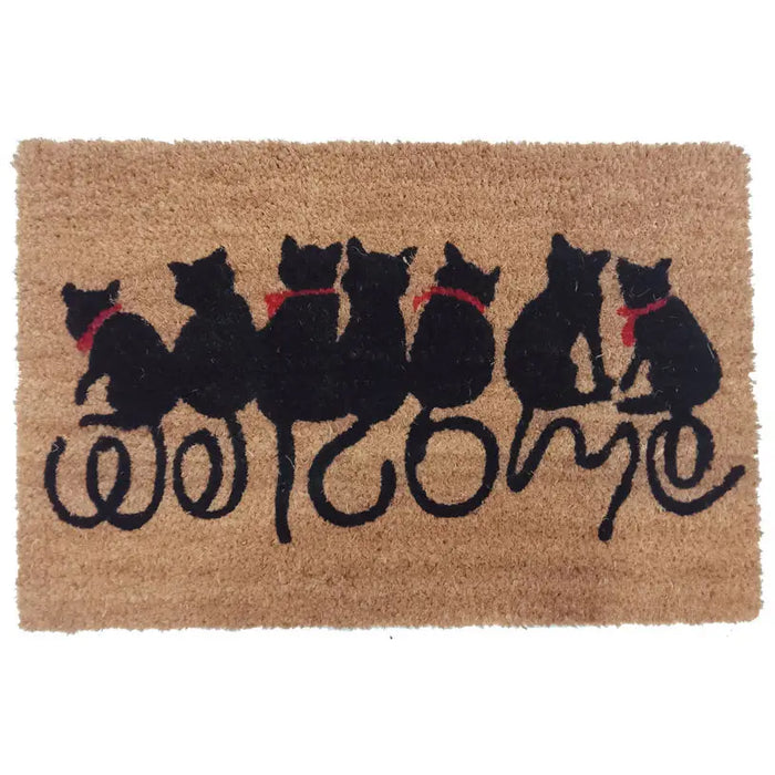 COCONUT/VINYL SCRAPER 40X60 CM. - Изтривалки<<<Мебели и интериор<<<Praktiker