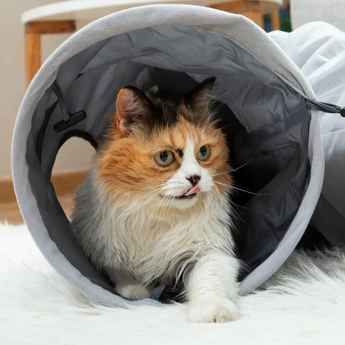 Collapsible Pet Tunnel Funnyl InnovaGoods - Домашни Животни<<<Дом Градина<<<BigBuy&&&Играчки<<<Домашни Животни<<<Дом