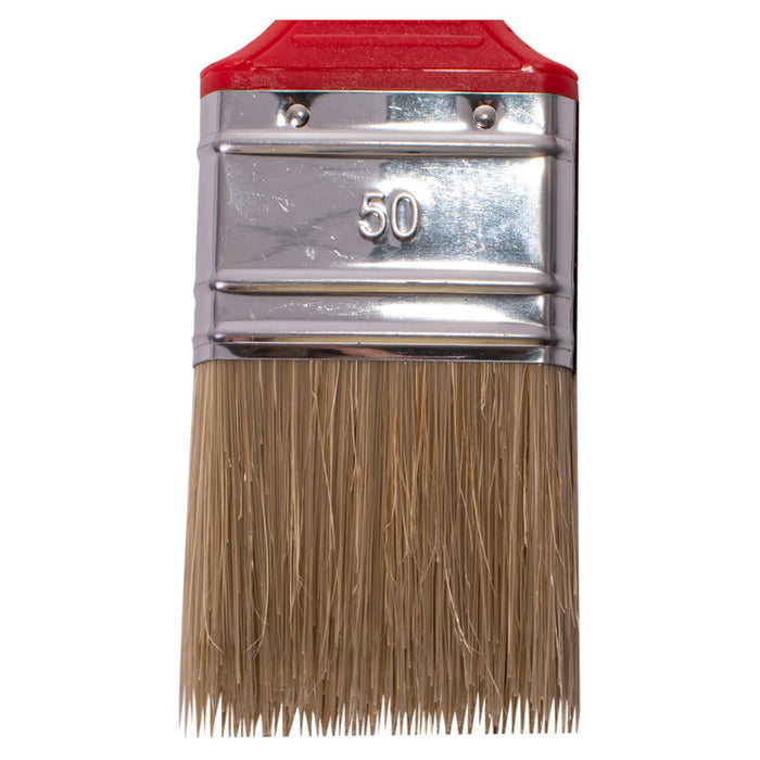 UNIVERSAL BRUSH CLASS 6 MIXED HAIR 50 MM COLOR EXPERT