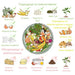 COMPOSTER 60L GARDEN STAR HD-10157 - Компостери<<<Саксии кашпи и цветарници<<<Градина<<<Praktiker