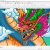 Software CorelDRAW Graphics Suite 365-Day Subs. (5-50)