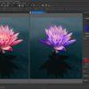 Software CorelDRAW Graphics Suite 365-Day Subs. (5-50)