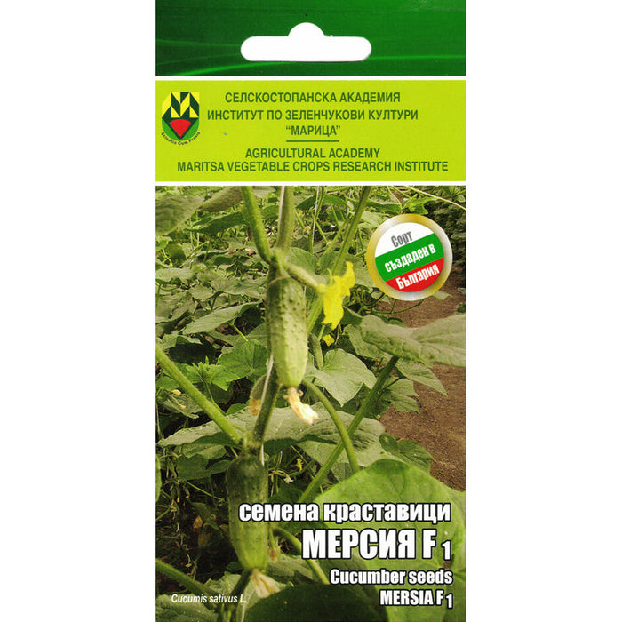 CUCUMBER SEEDS MERSIA IZK MARITSA - Семена<<<Семена луковици и разсад<<<Градина<<<Praktiker