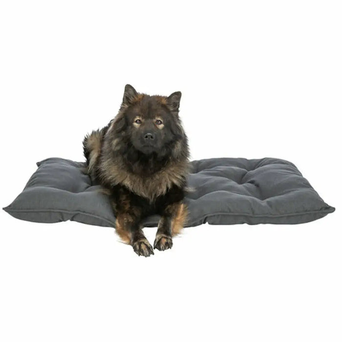Cushion Trixie Dark grey 59 x 50 cm - Домашни Животни<<<Дом Градина<<<BigBuy&&&Къщички и легълца<<<Домашни